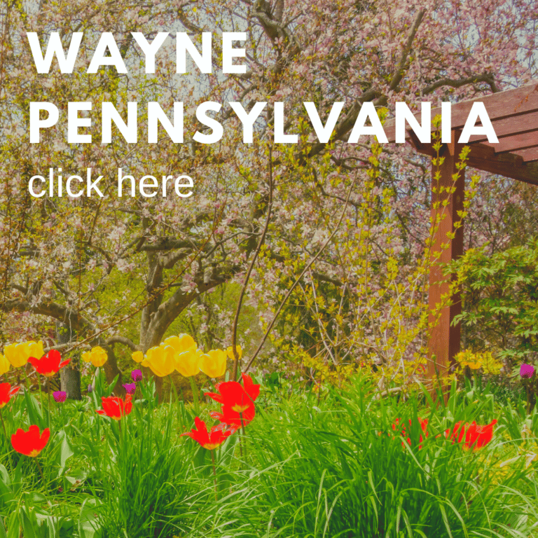 Locations Anderson's Nutrition