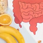 Nutrition and Inflammatory Bowel Disease