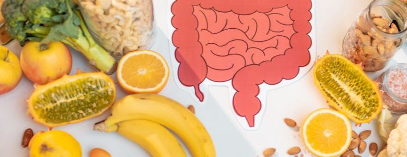 Inflammatory Bowel Disease And Gut Health photo